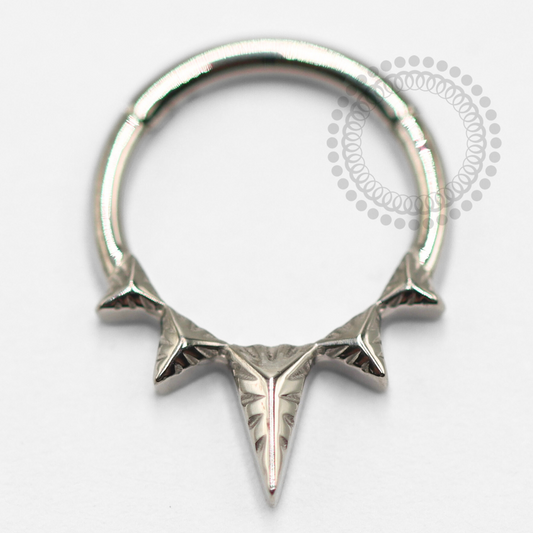 TN1541 Segmento Spike Titânio ASTM F-136