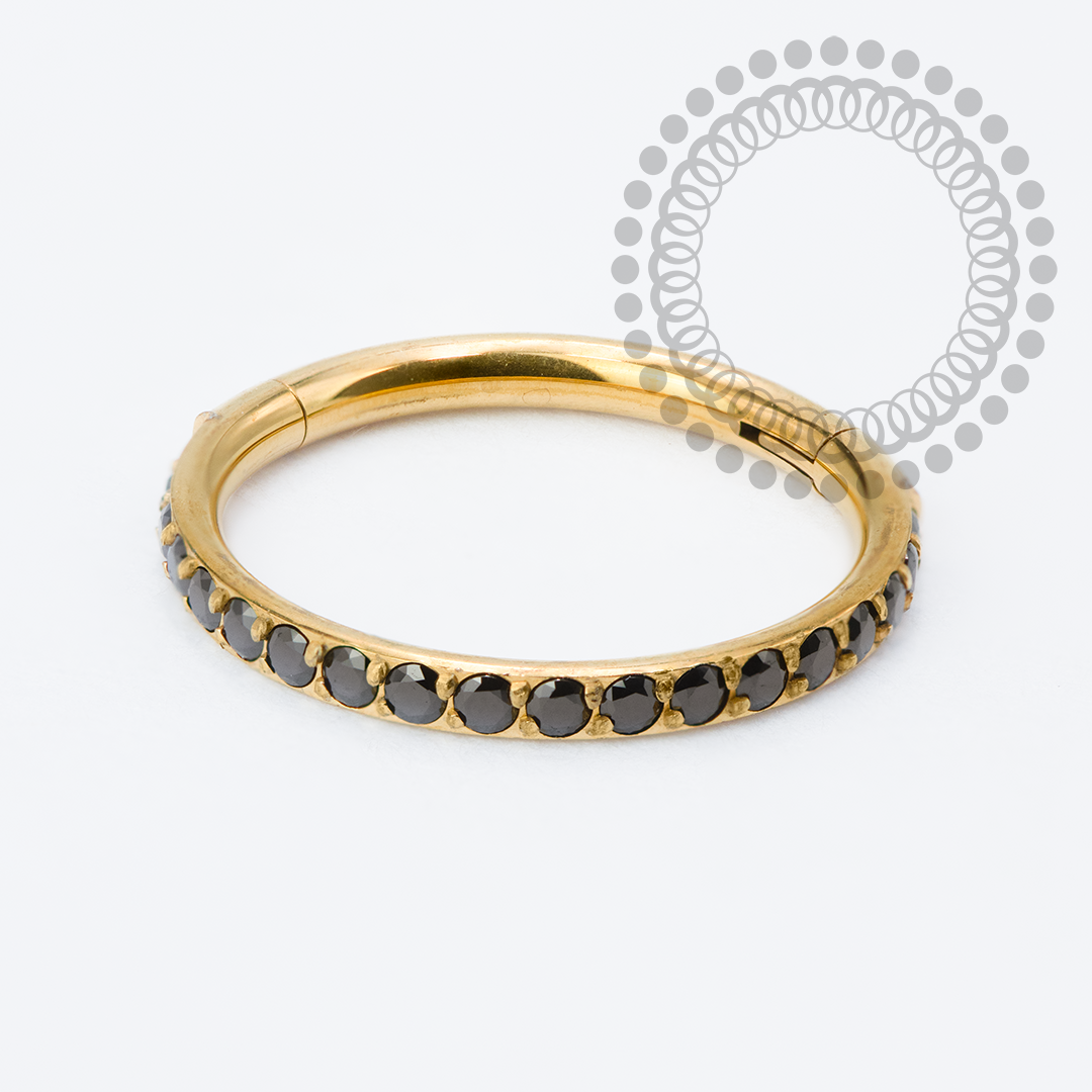 TN2335 Segmento Cravejado CZ Black Titânio PVD Gold