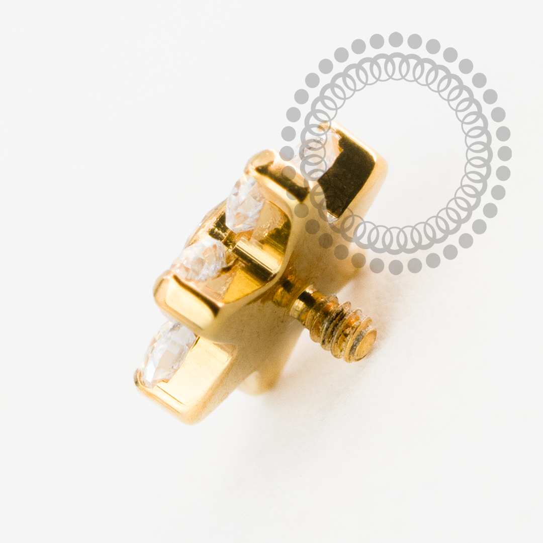TN2213 Topo Micro Flor CZ Titânio PVD Gold