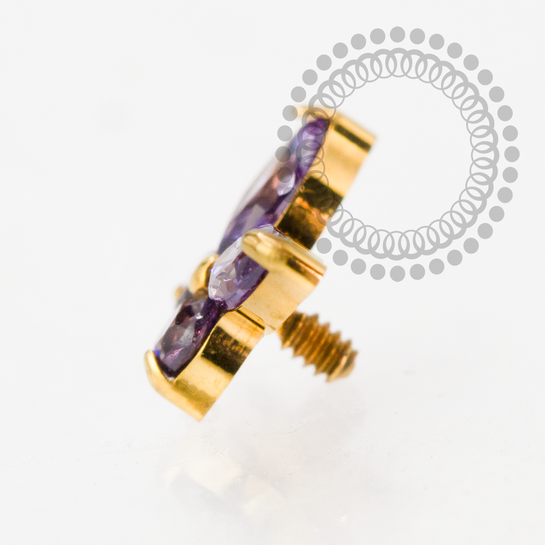 TN2194 Topo Borboleta Detalhada CZ Roxo Titânio PVD Gold