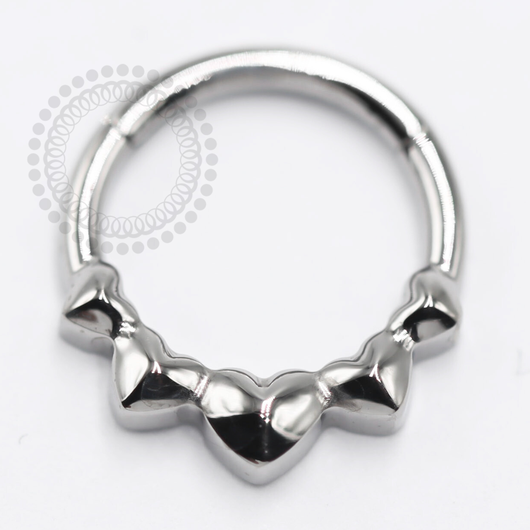 TN1411 Titanium Heart Segment ASTM F-136