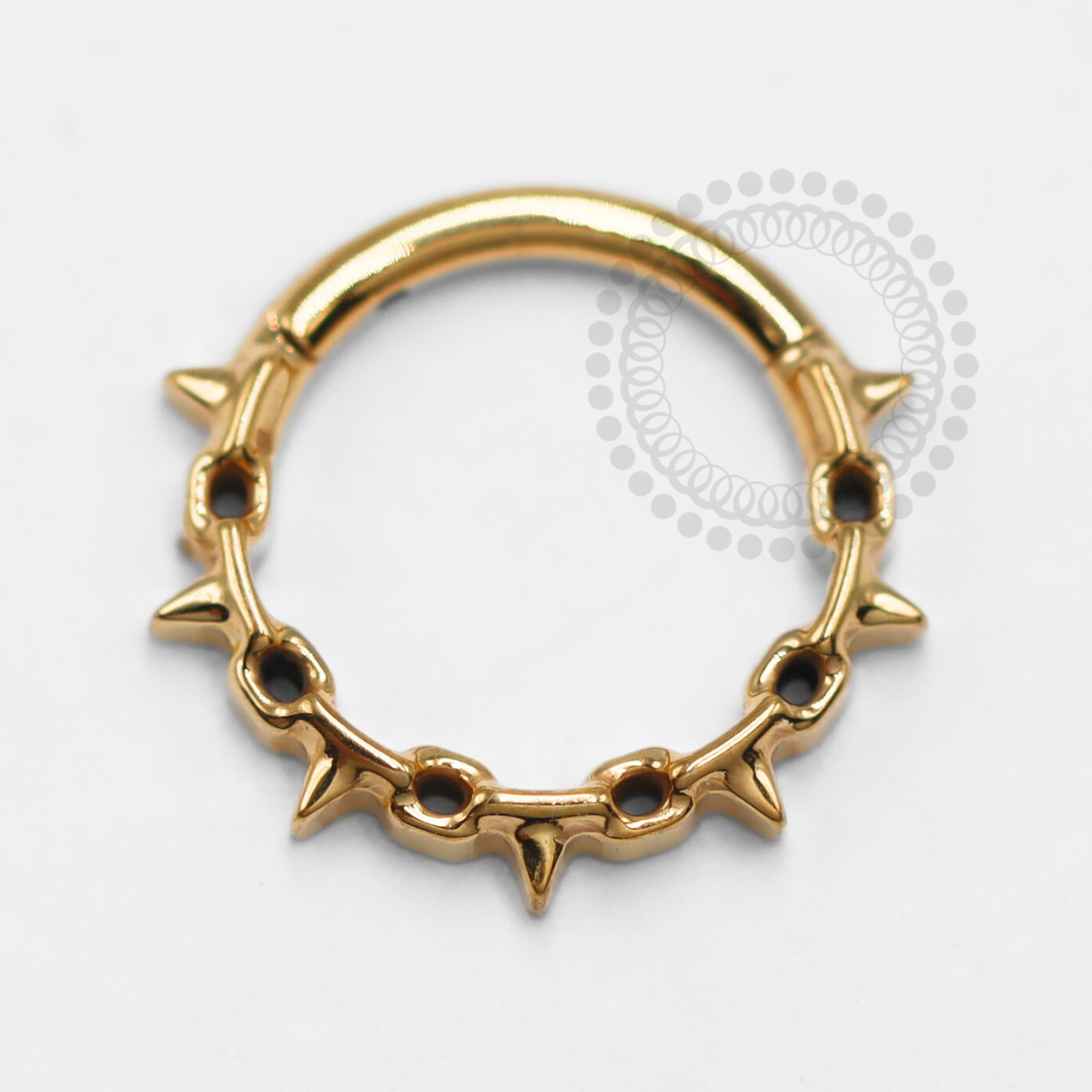TN1379 Segment Model Chain Titanium PVD Gold