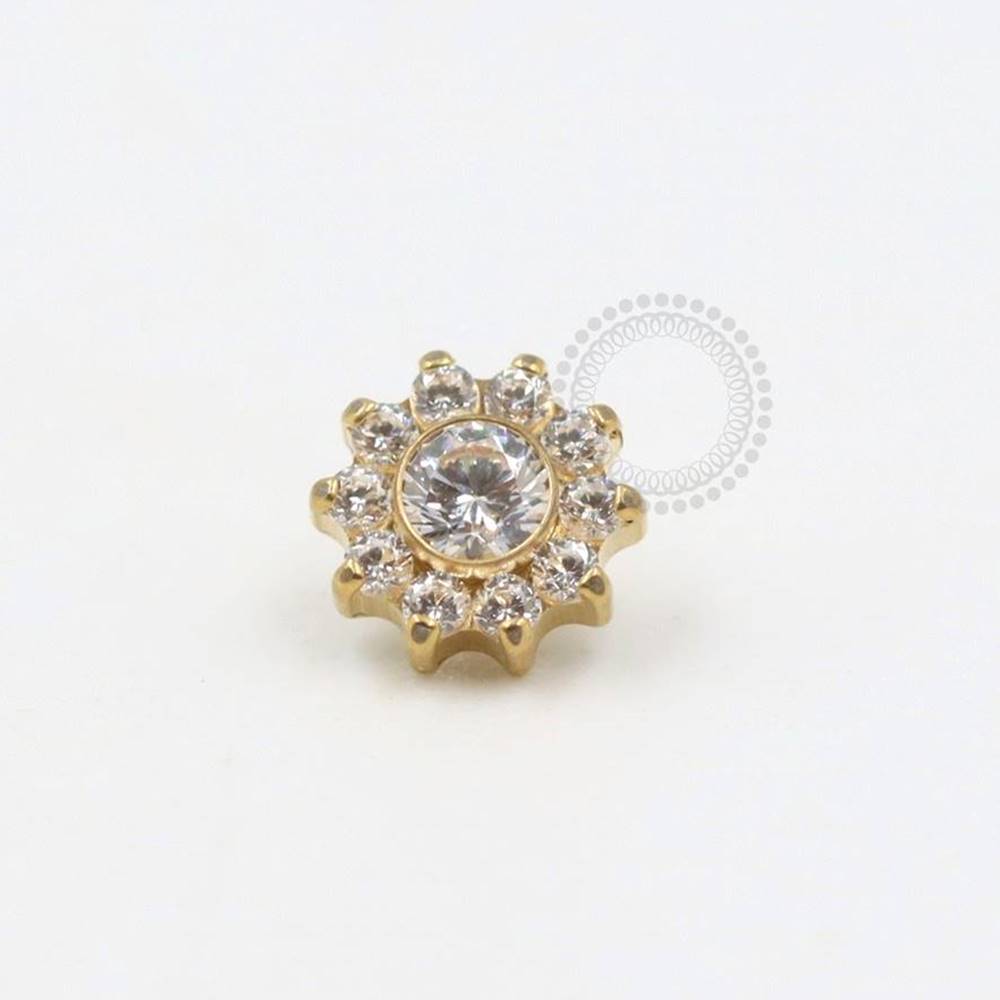 TN292 Topo Mini Flor 10 Pétalas CZ Titânio PVD Gold