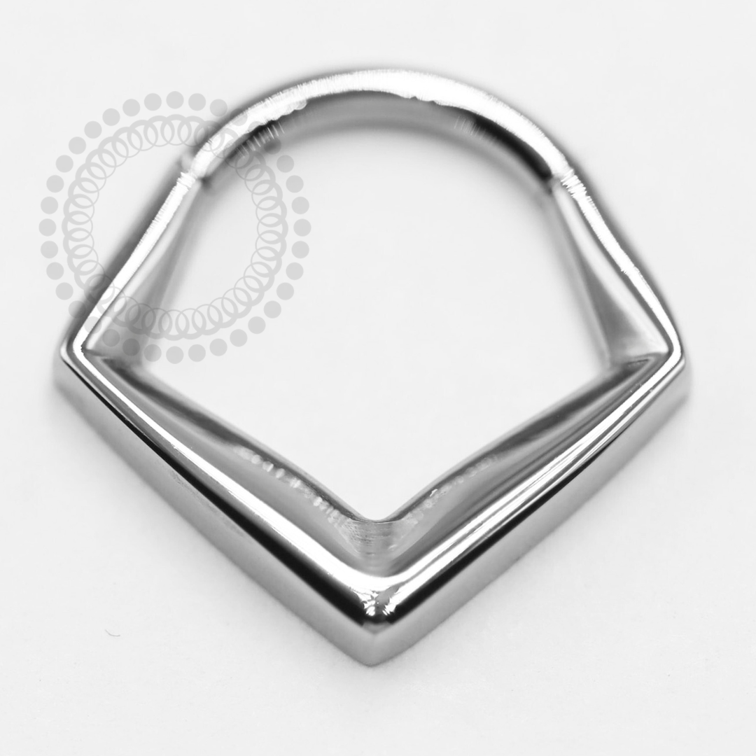 TN1403 Geometric Segment Model 2 Titanium ASTM F-136