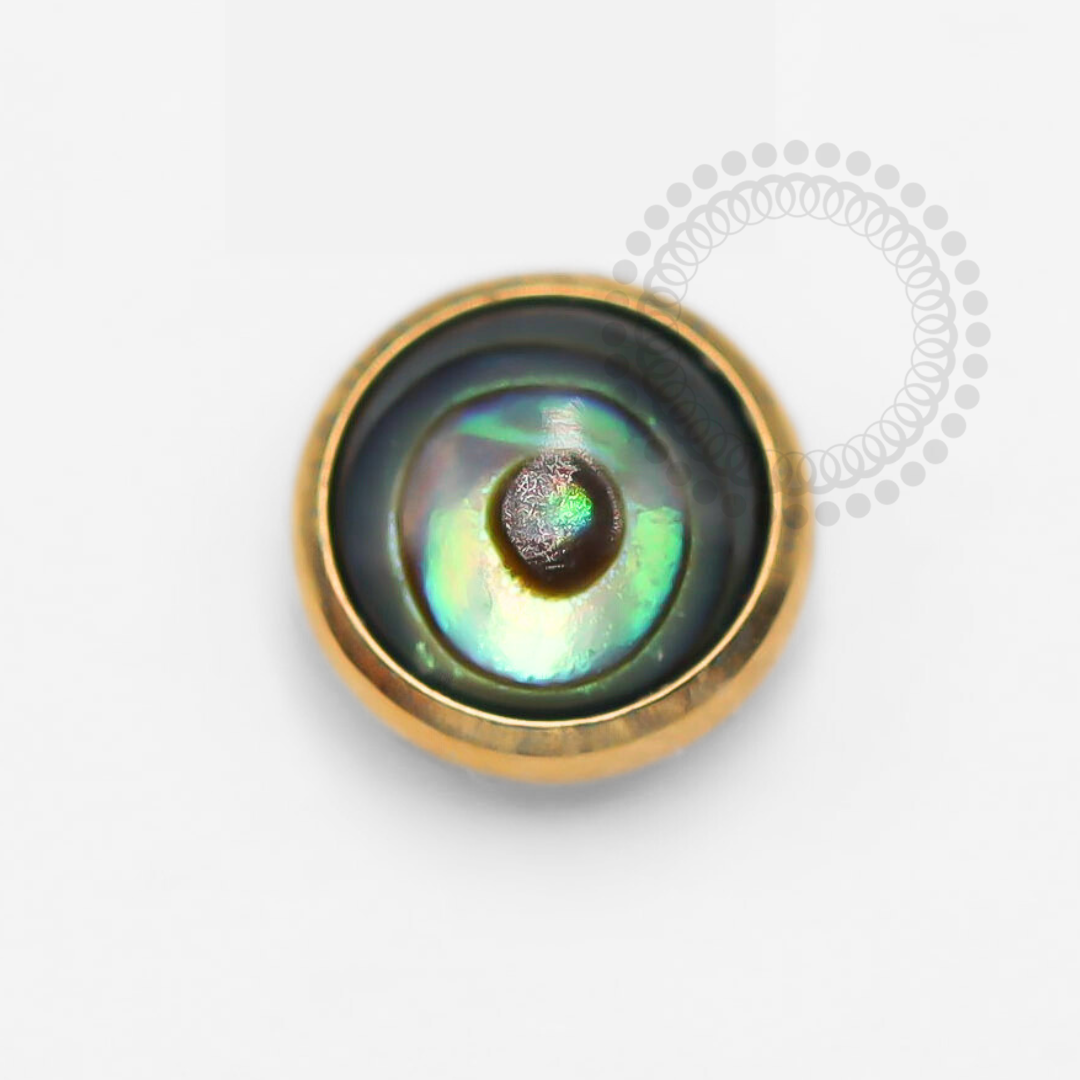 TN1334 Microdermal Synthetic Abalone Stone Titanium PVD Gold