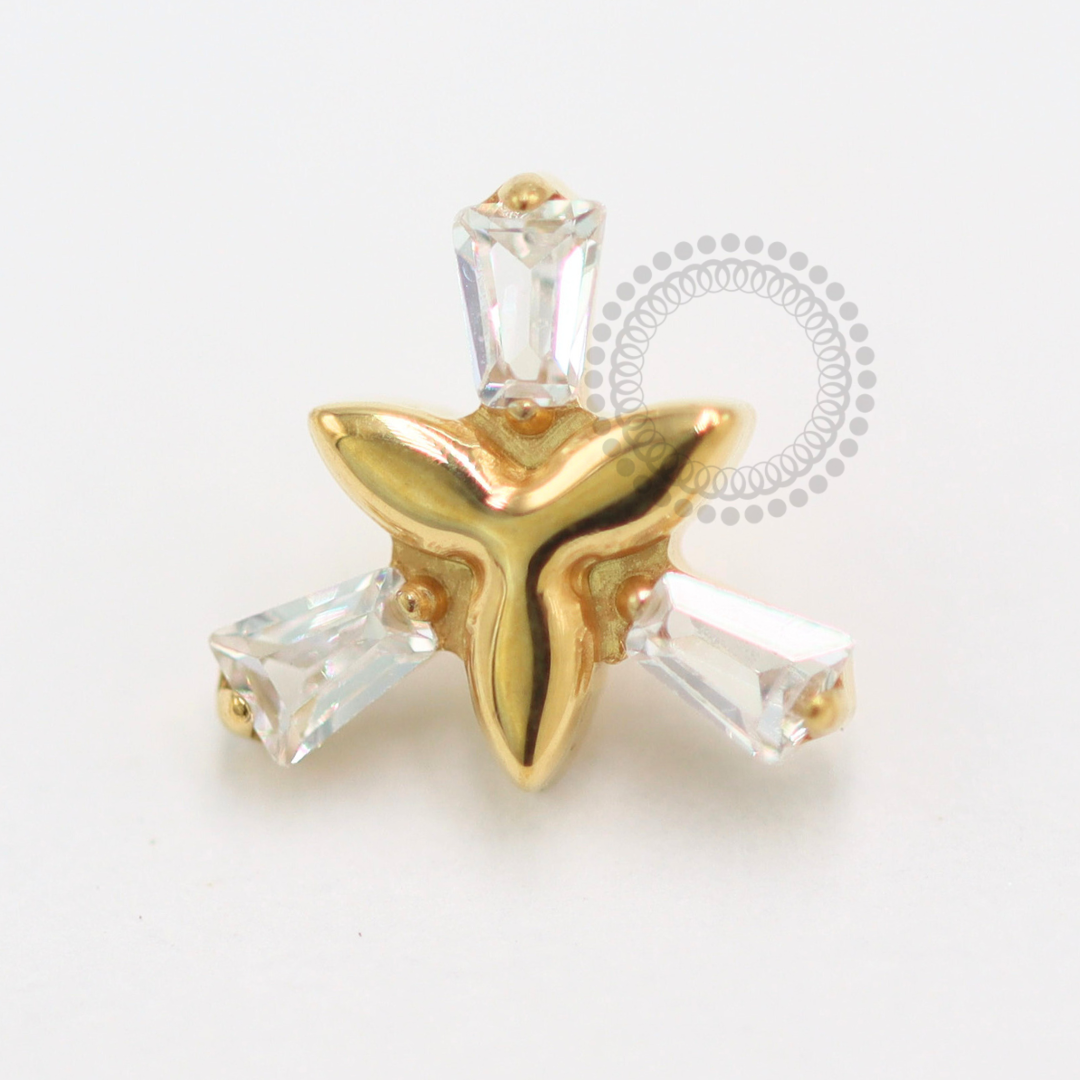 TN1480 Topo Trindade Dourada Titânio PVD Gold