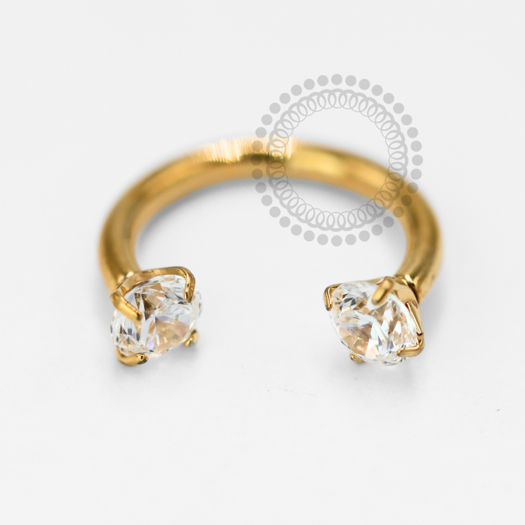 TN1553 Ferradura CZ Cristal Titânio PVD Gold