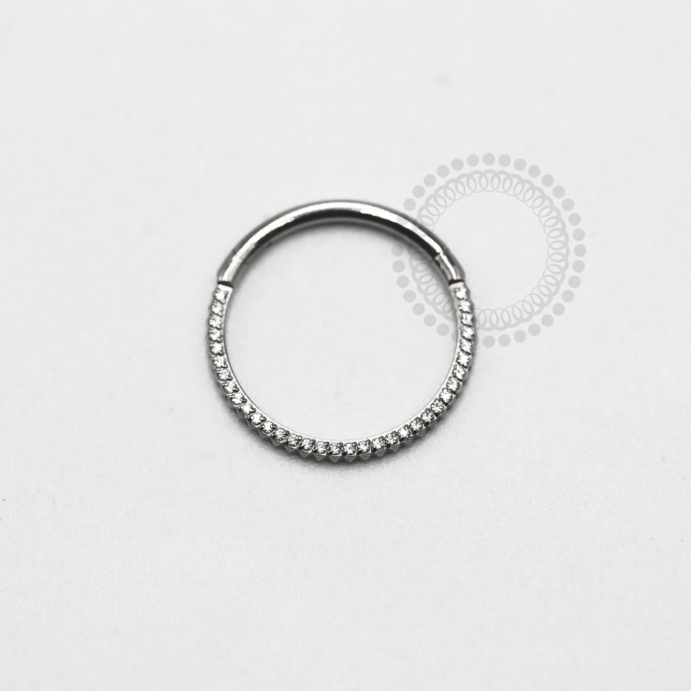 TN1183 Inca Titanium Studded Front Segment ASTM F-136