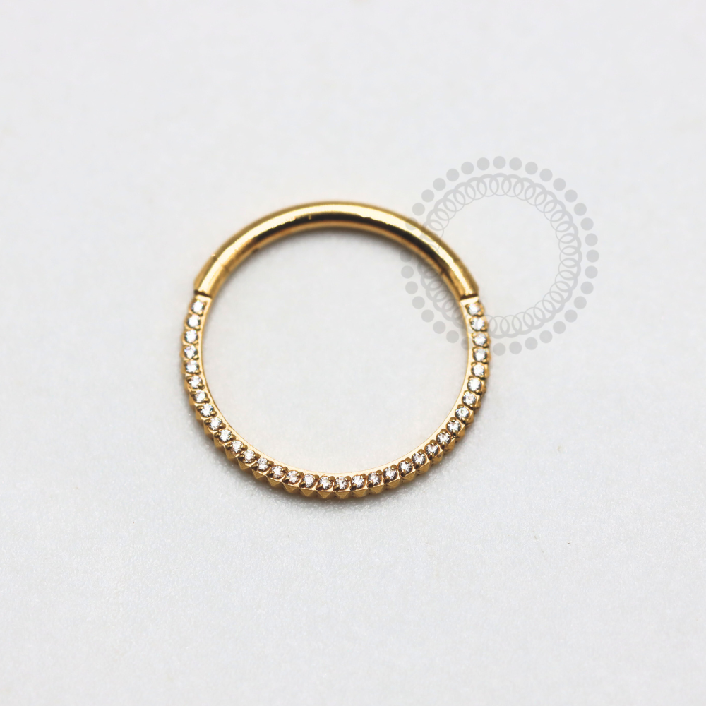TN1184 Inca Titanium PVD Gold Studded Front Segment