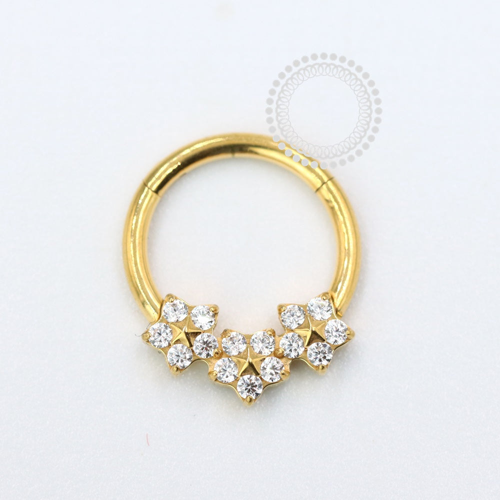 TN1069 Segment 3 Flowers Titanium Pvd Gold