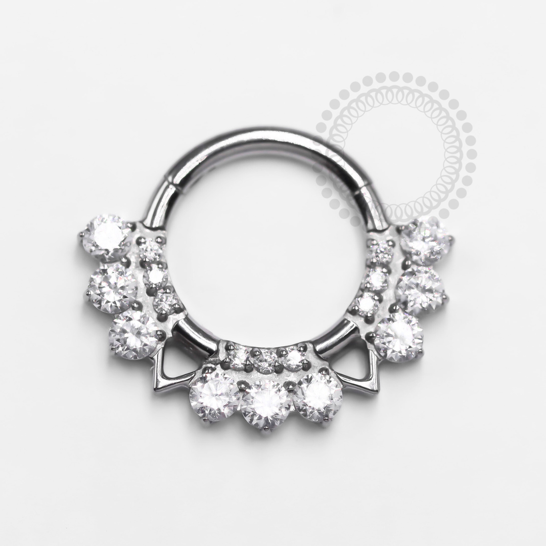 TN1310 Segment Spot Light With Triangles Titanium ASTM F-136