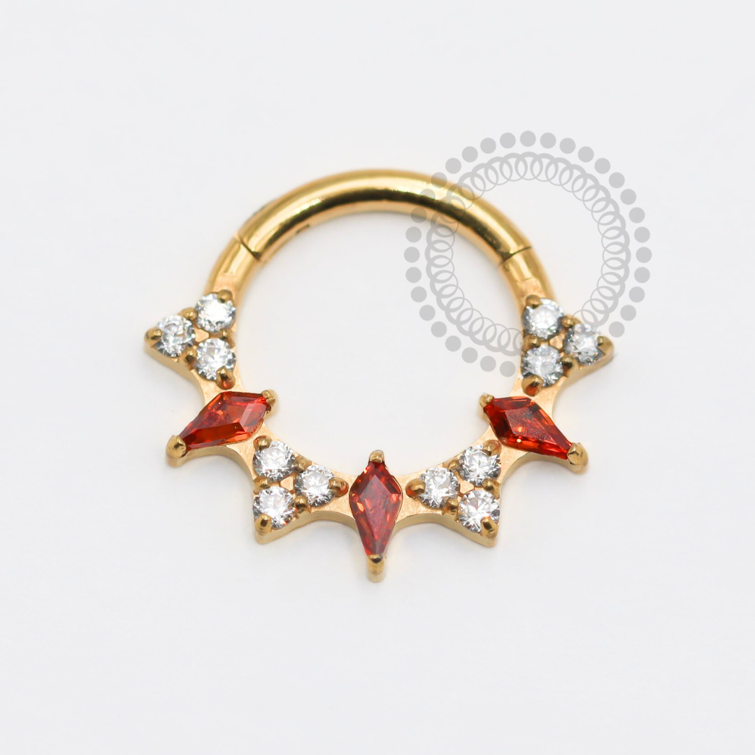 TN1773 Segmento Spark Garnet E Cristal Titânio PVD Gold