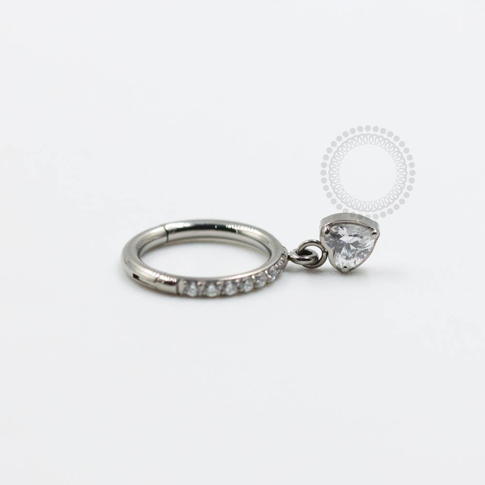 TN735 Titanium Pendant Segment