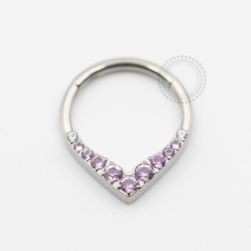TN616-2 Hinged Segment CZ Crystal/Pink Titanium