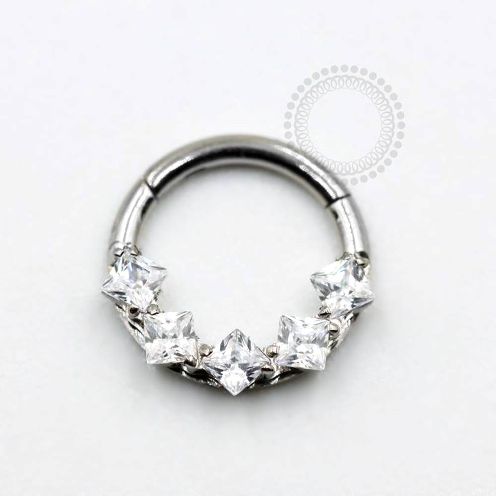TN823 Decorated Segment Five Square Zirconia Titanium