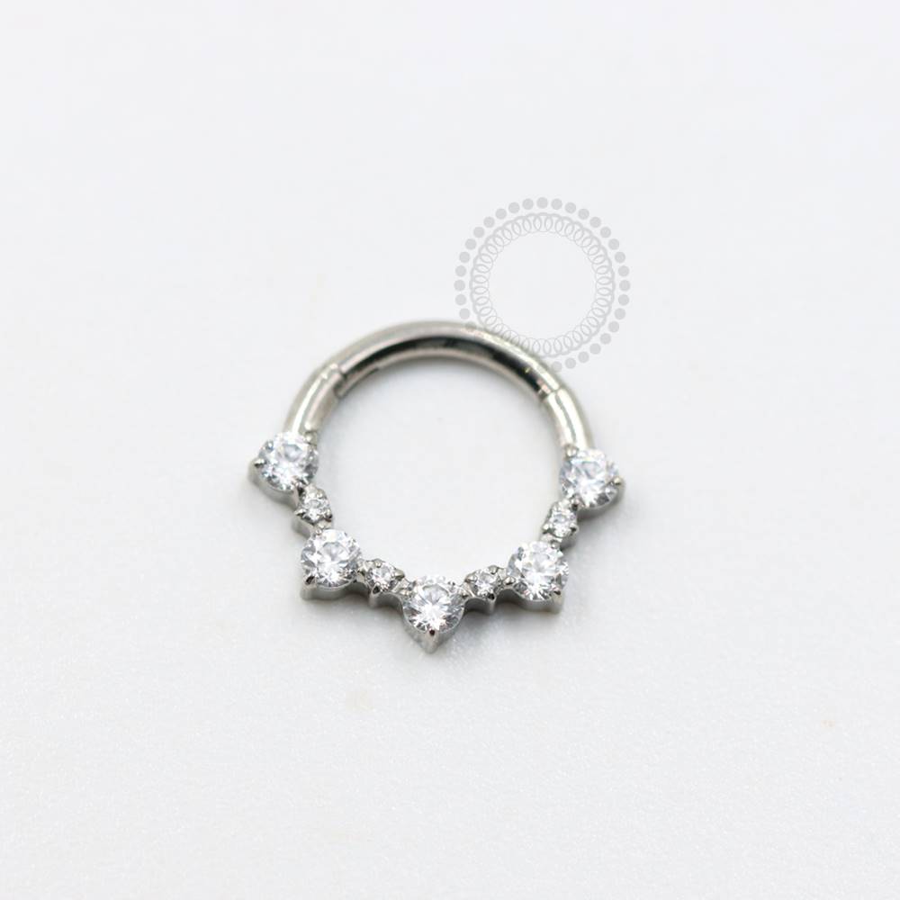 TN1002 Titanium Zirconias Studded Segment