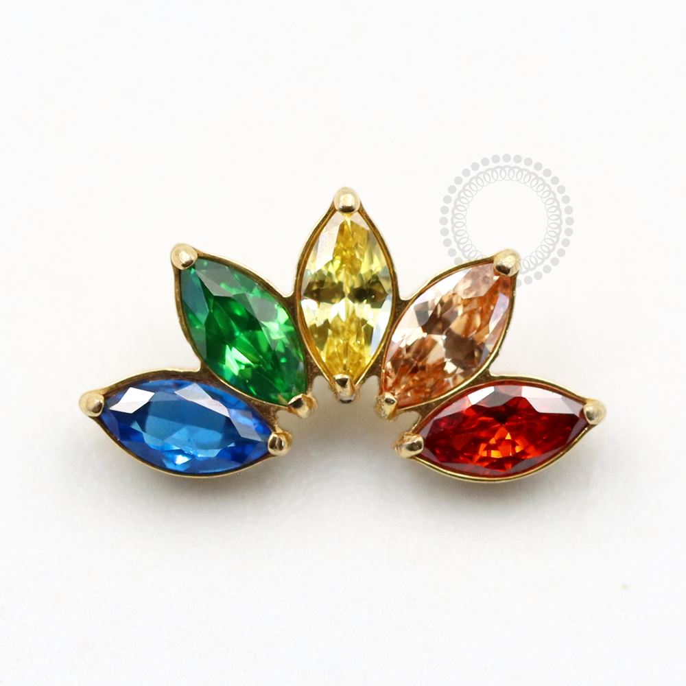 TN742 Five Petals Colorful Zirconia Titanium PVD Gold Cluster Top