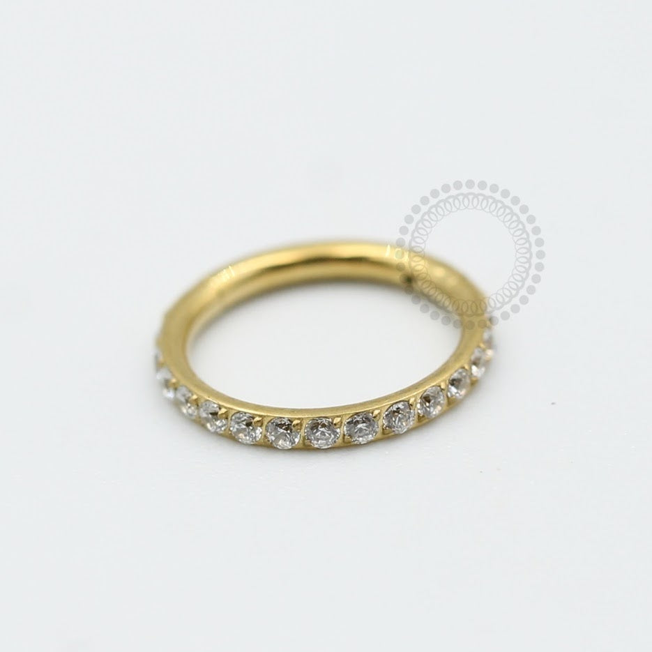 TN336 Titanium Pvd Gold Studded Segment