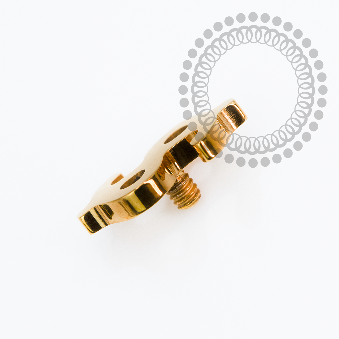 TN2263 Topo Cifrão Liso Titânio PVD Gold