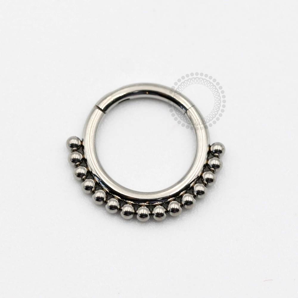 TN272 Indian Segment Titanium