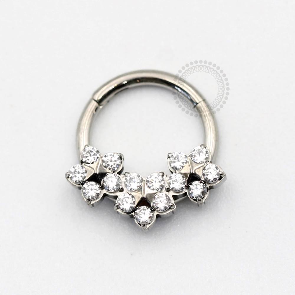 TN196 Segment 3 Flowers Titanium