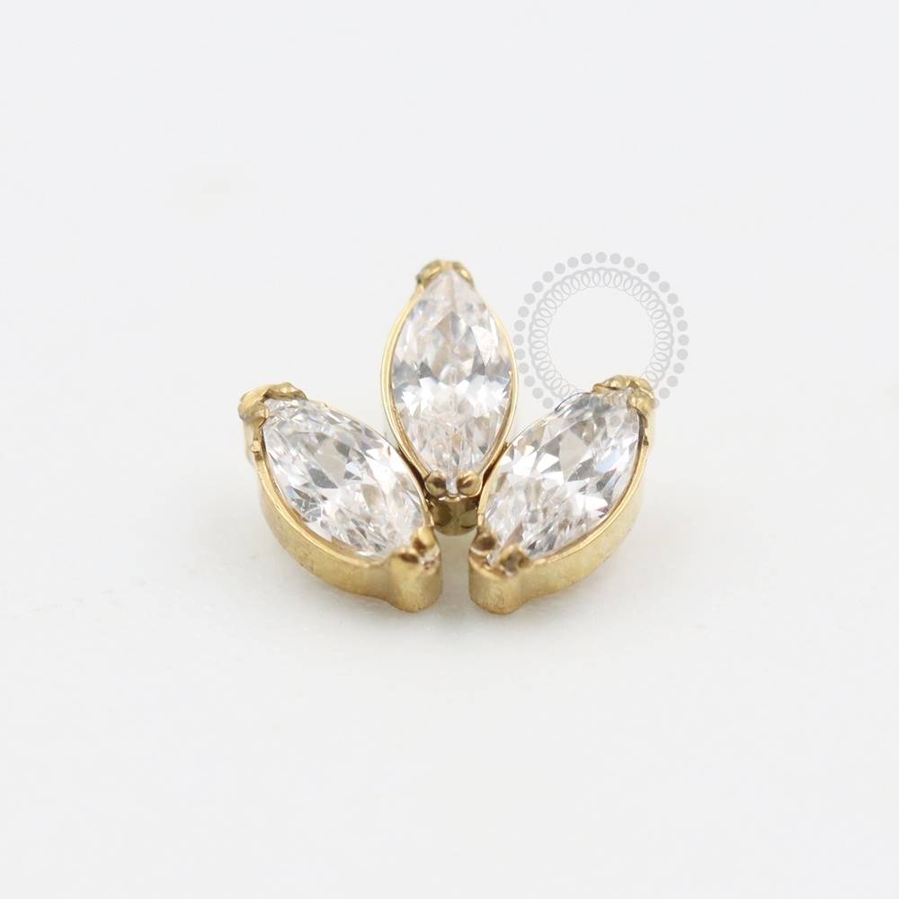 TN476 Topo Cluster 3 Navetes Titânio PVD Gold