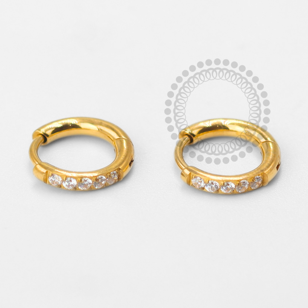 TN1615 Par de Brincos Argola Lux Titânio PVD Gold