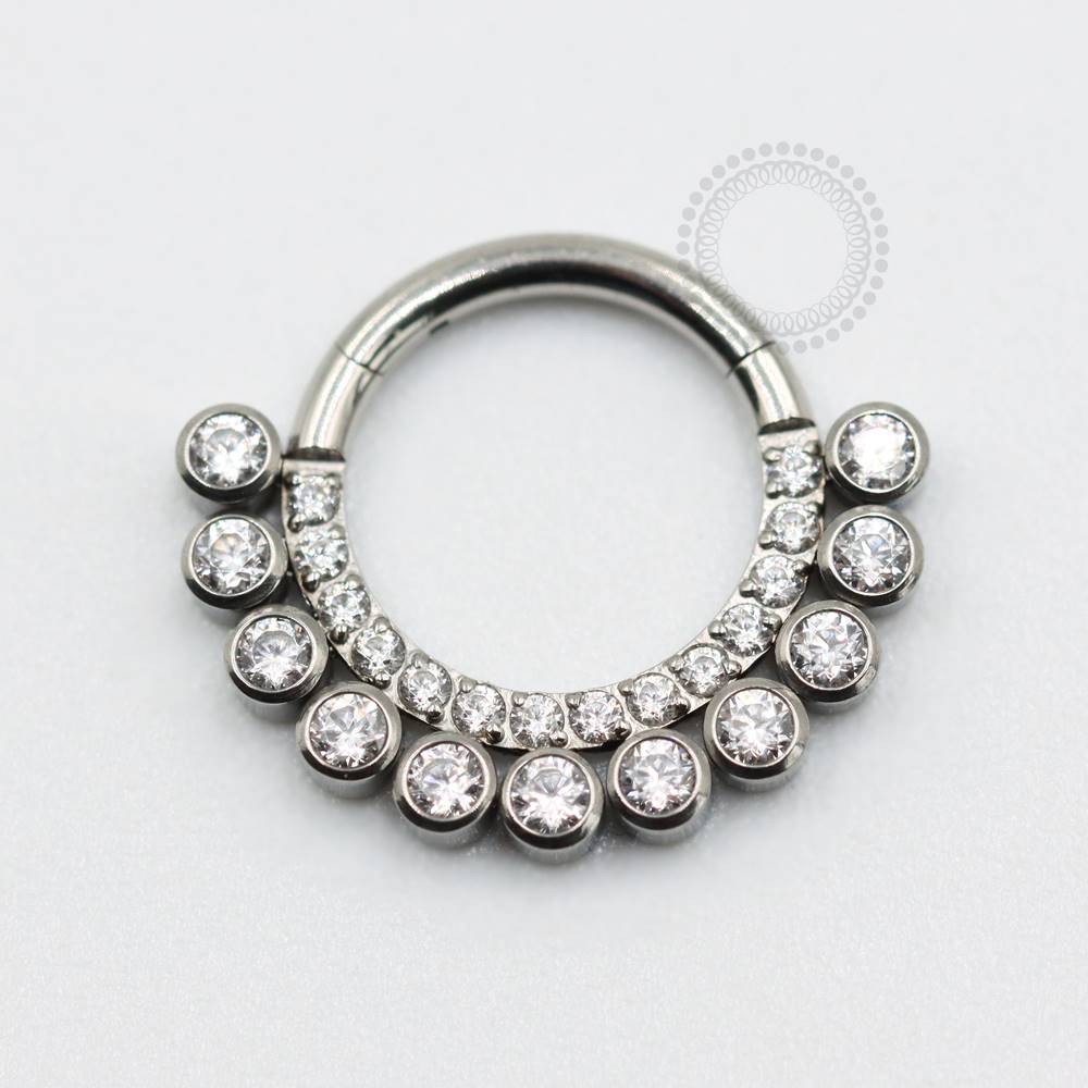TN53 Big And Small Stones CZ Titanium Segment