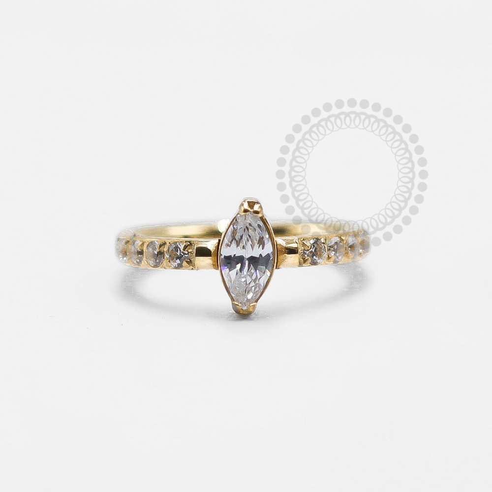 TN1248 Segmento CZ-Navete Central Titânio PVD Gold