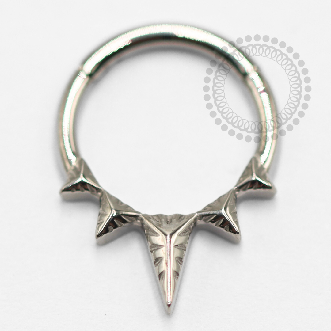 TN1541 Segmento Spike Titânio ASTM F-136