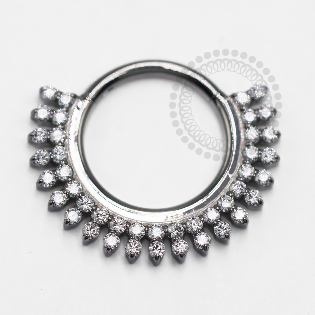 TN1388 Front Segment Bright CZ Titanium ASTM F-136