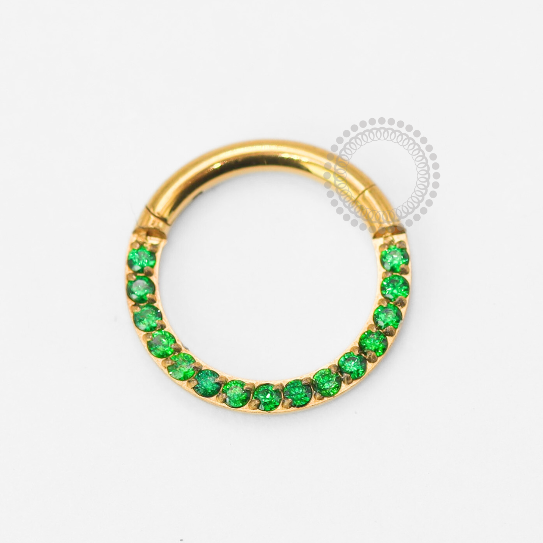 TN1857 Front Segment CZ Emerald Titanium PVD Gold