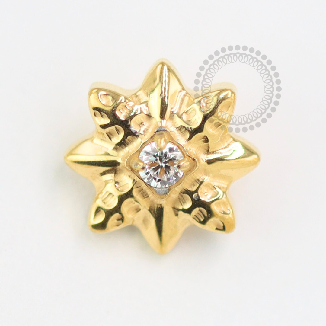 TN1482 Topo Estrela Polar Titânio PVD Gold