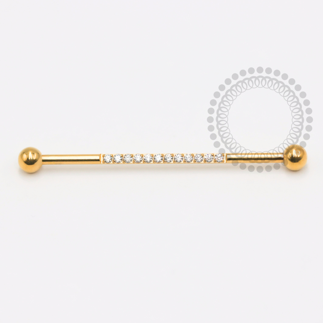 TN1780 Transverse Studded Titanium PVD Gold