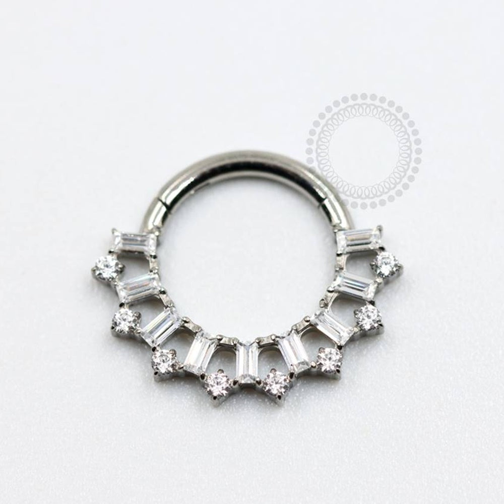TN873 Front Segment 9 Titanium Baguettes ASTM F136