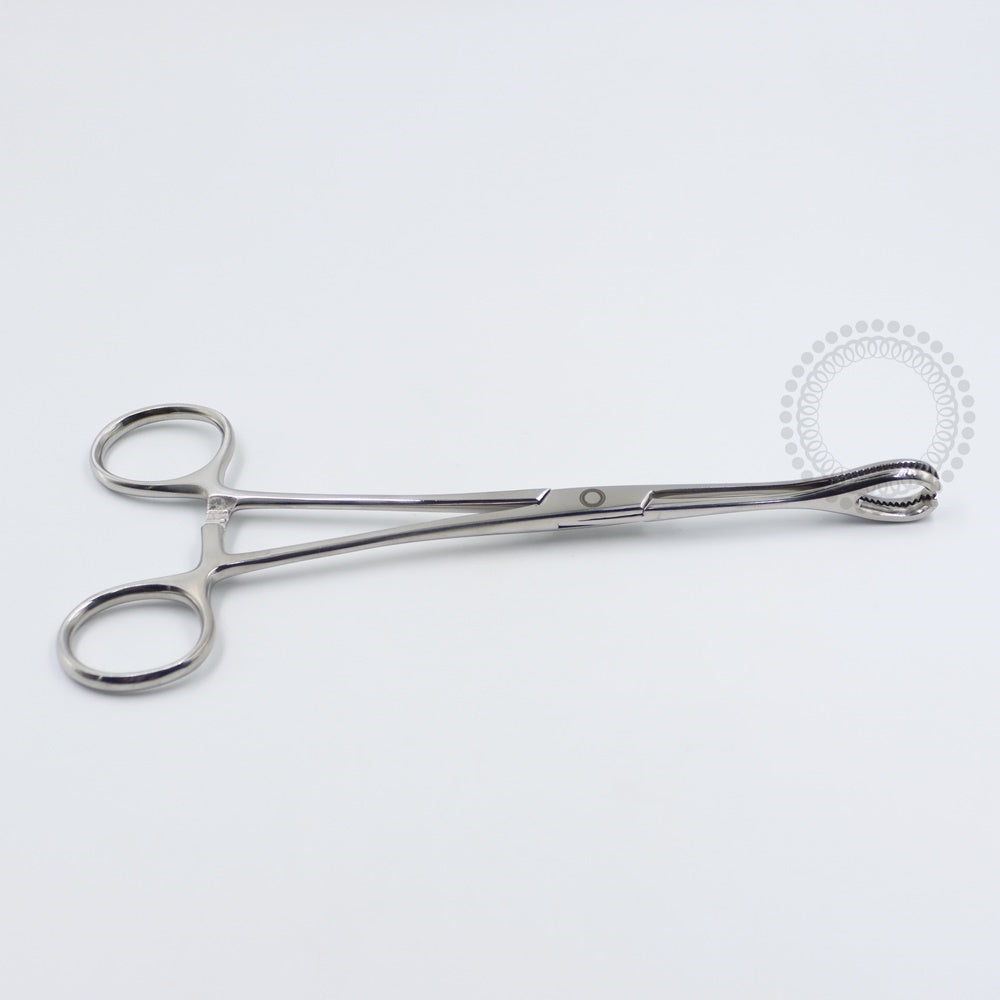 PC10 Pinça Oval Aberta Aço Inoxidável