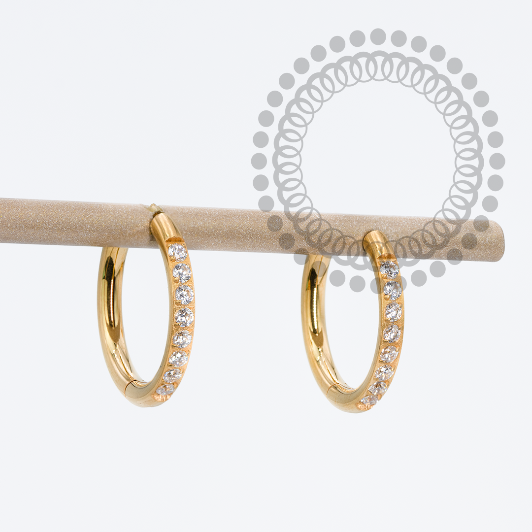 TN1730 10mm Titanium PVD Gold Pave Hoop Earrings