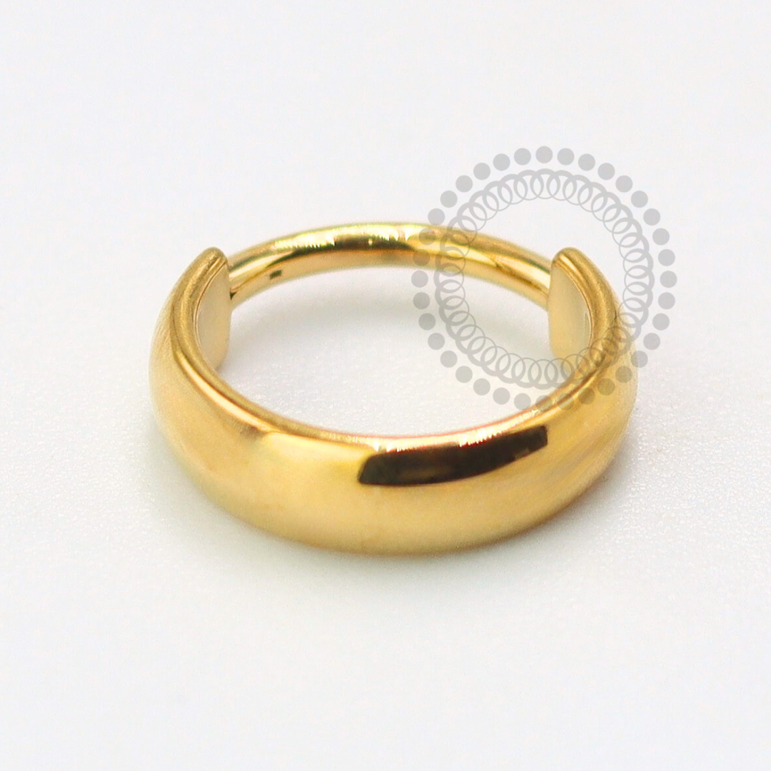 TN1618 Domed Segment Titanium PVD Gold