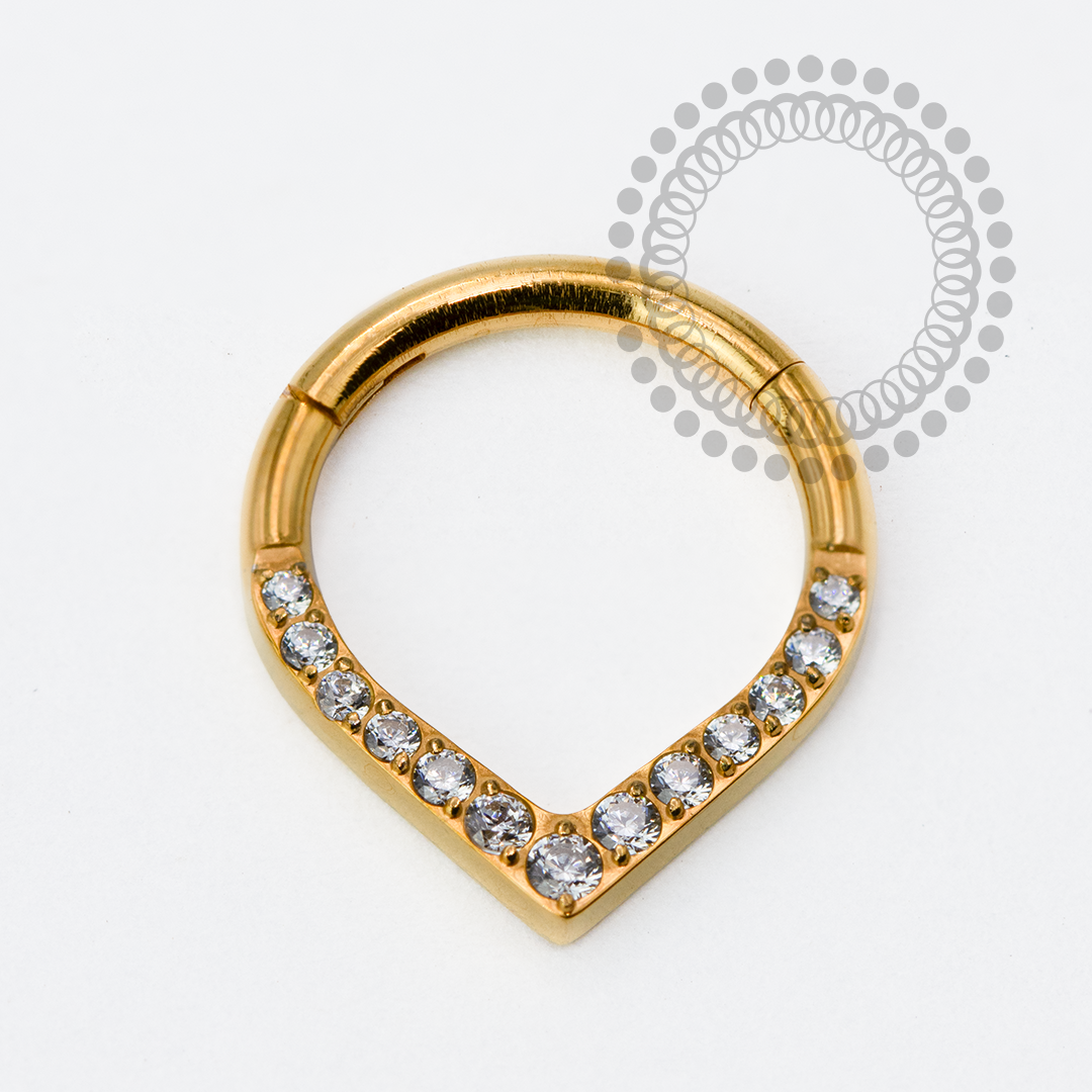 TN1962 Front Segment Drop CZ Titanium PVD Gold