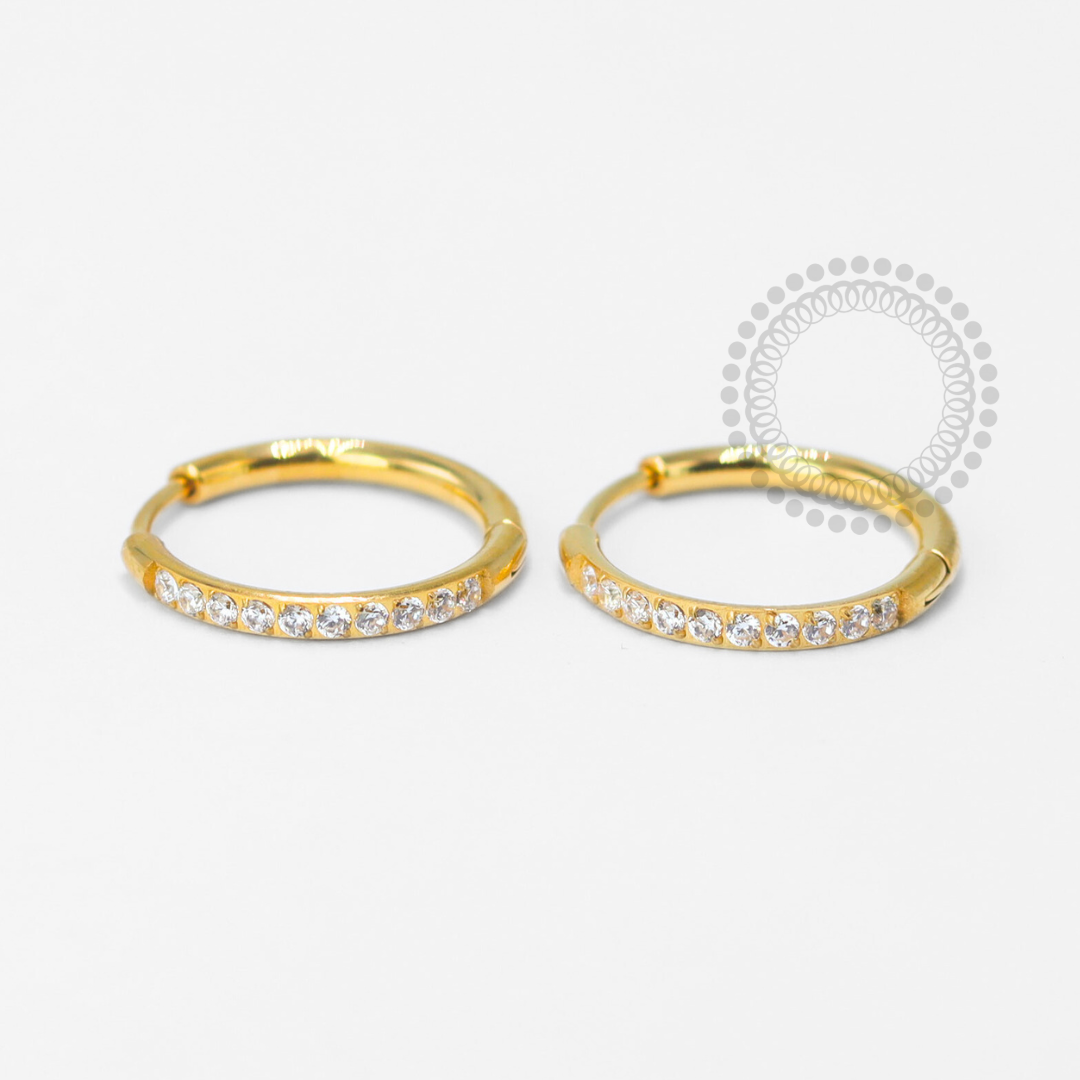 TN1615 Pair of Luxury Titanium PVD Gold Hoop Earrings
