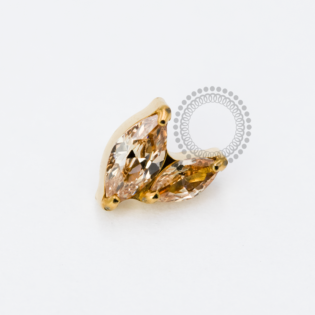 TN1917 Topo 2 Pétalas Champanhe Titânio PVD Gold