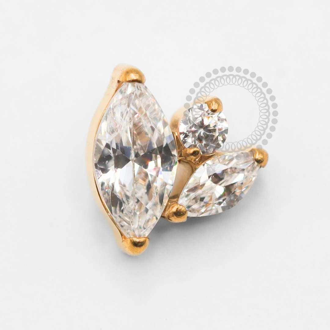 TN1889 Topo 2 Pétalas e 1 Ponto De Luz Titânio PVD Gold