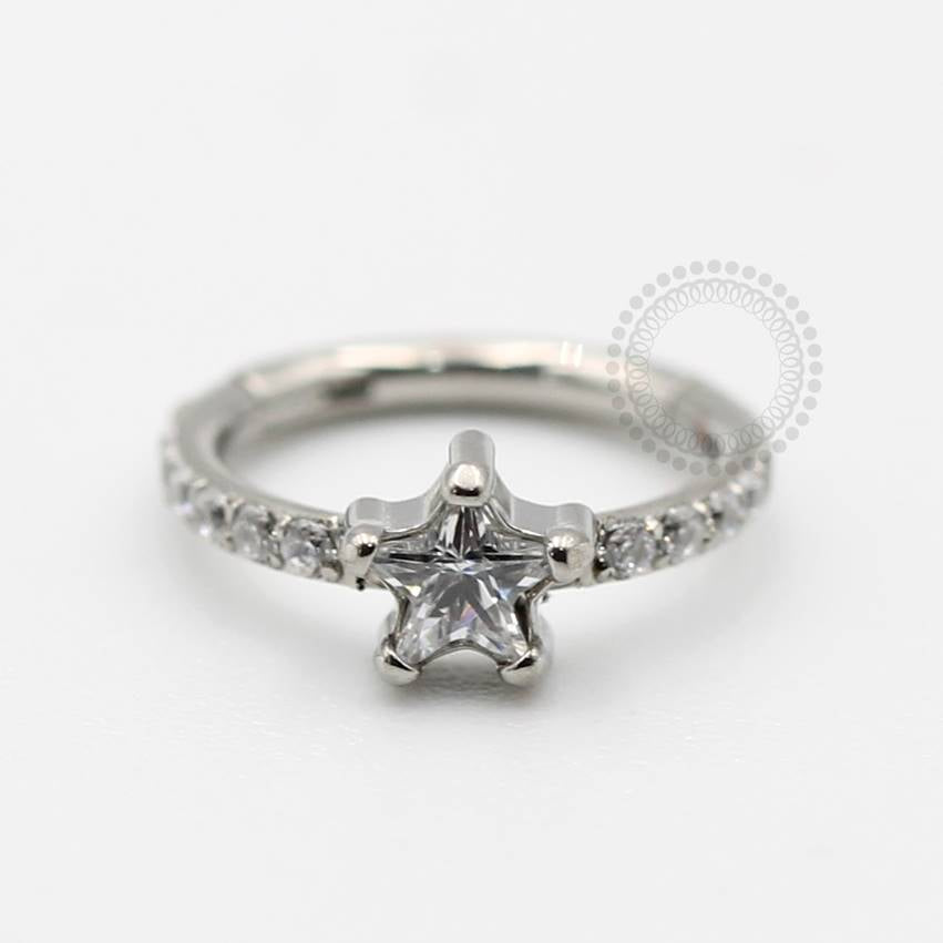 PB60 Brillant Star Segment Steel 316L