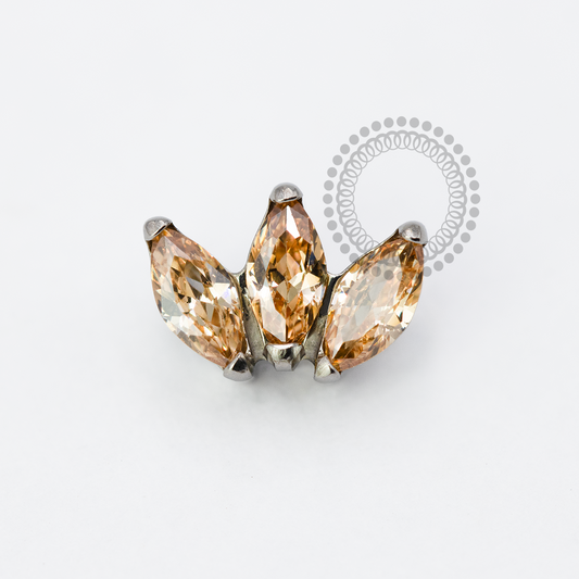 TN1932 Top Clover Champagne Titanium ASTM F-136 