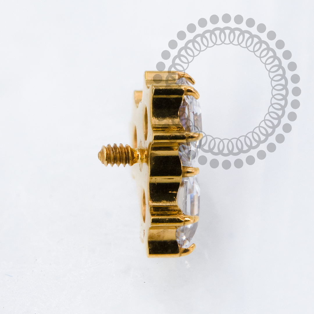 TN2135 Topo Colmeia Zirconia Titânio PVD Gold