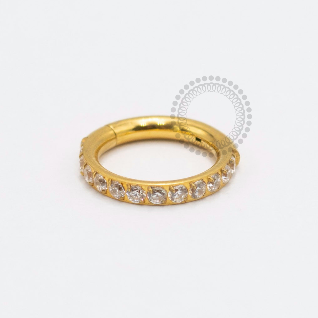 TN2376 Segmento Cravejado 1.6mm Titânio PVD Gold