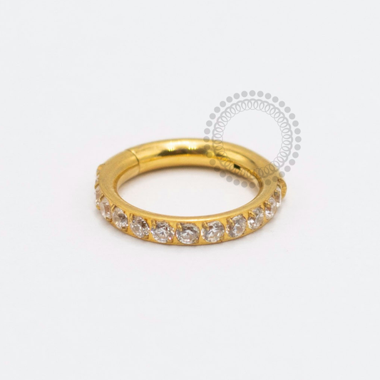 TN2376 Segmento Cravejado 1.6mm Titânio PVD Gold