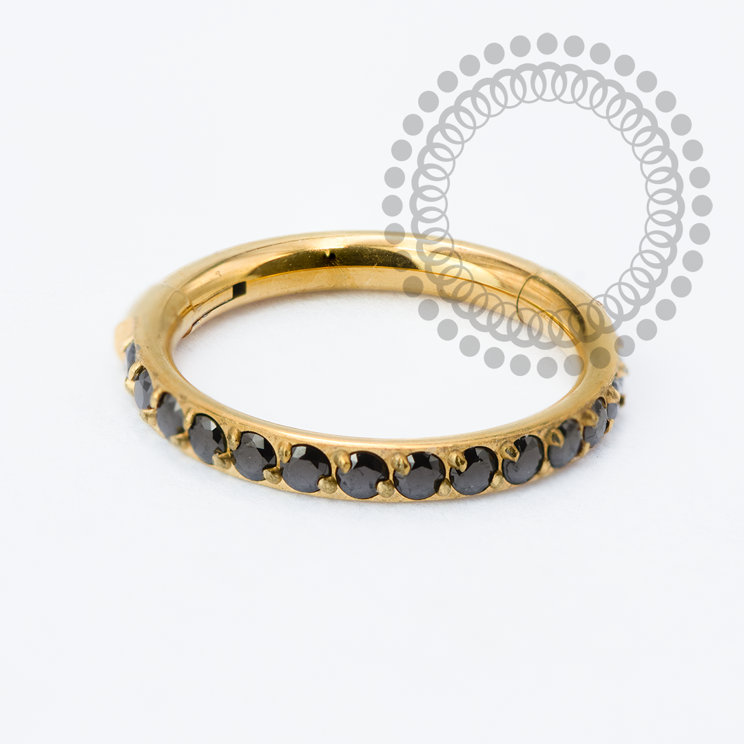 TN2335 Segmento Cravejado CZ Black Titânio PVD Gold