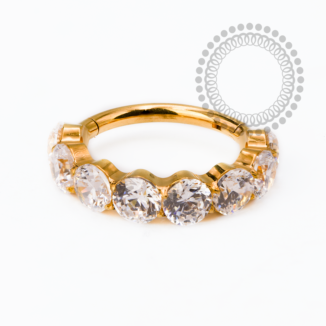 TN2524 Segmento CZ 3mm Titânio PVD Gold