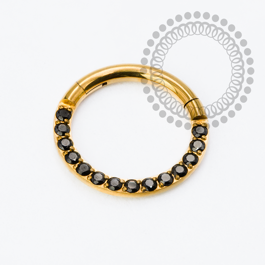Segmento Frontal 8mm CZ Black Titânio PVD Gold